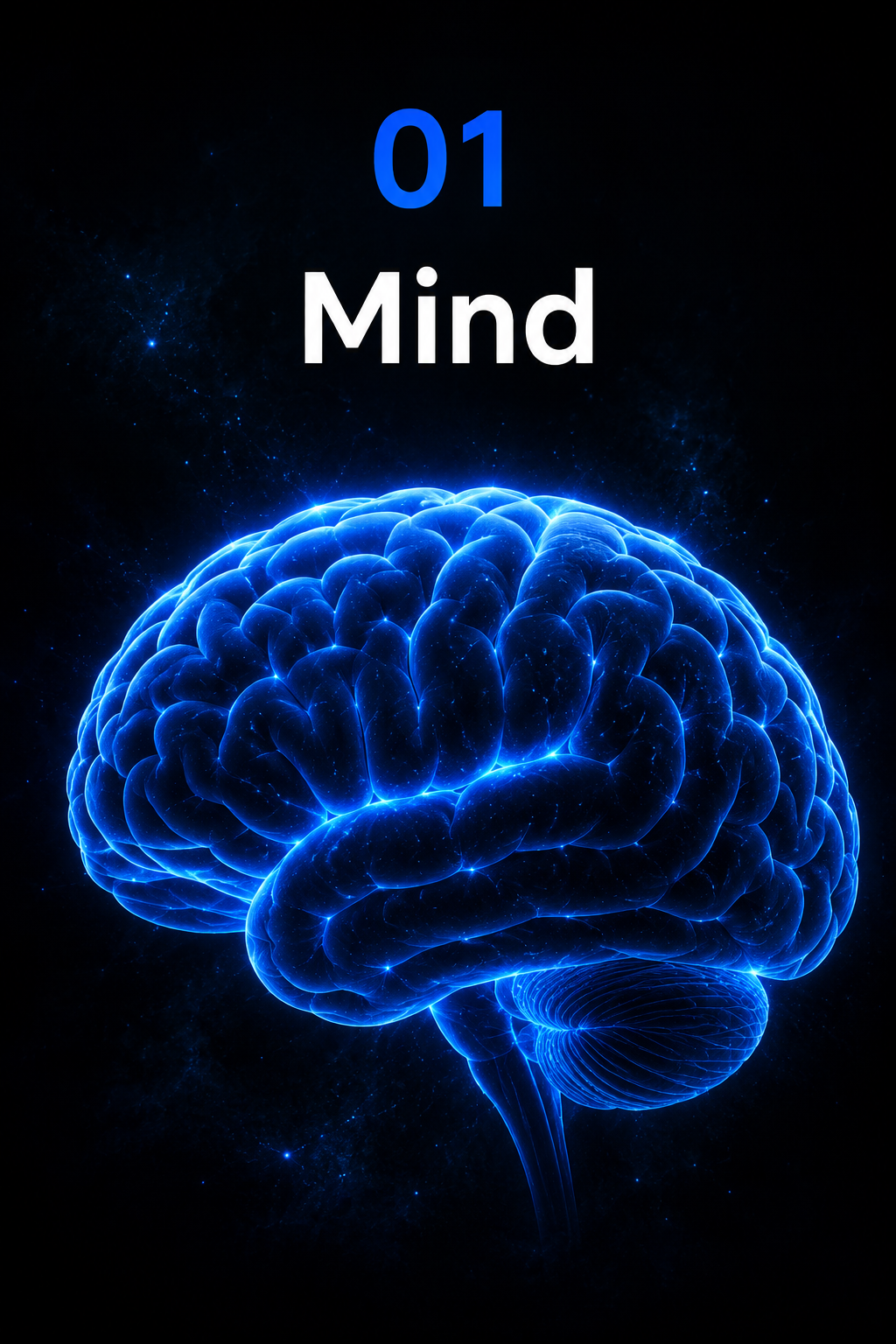 Phase 01 Mind