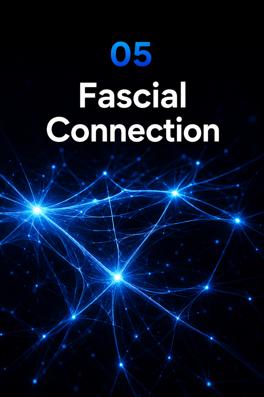 Phase 05 Fascial Connection
